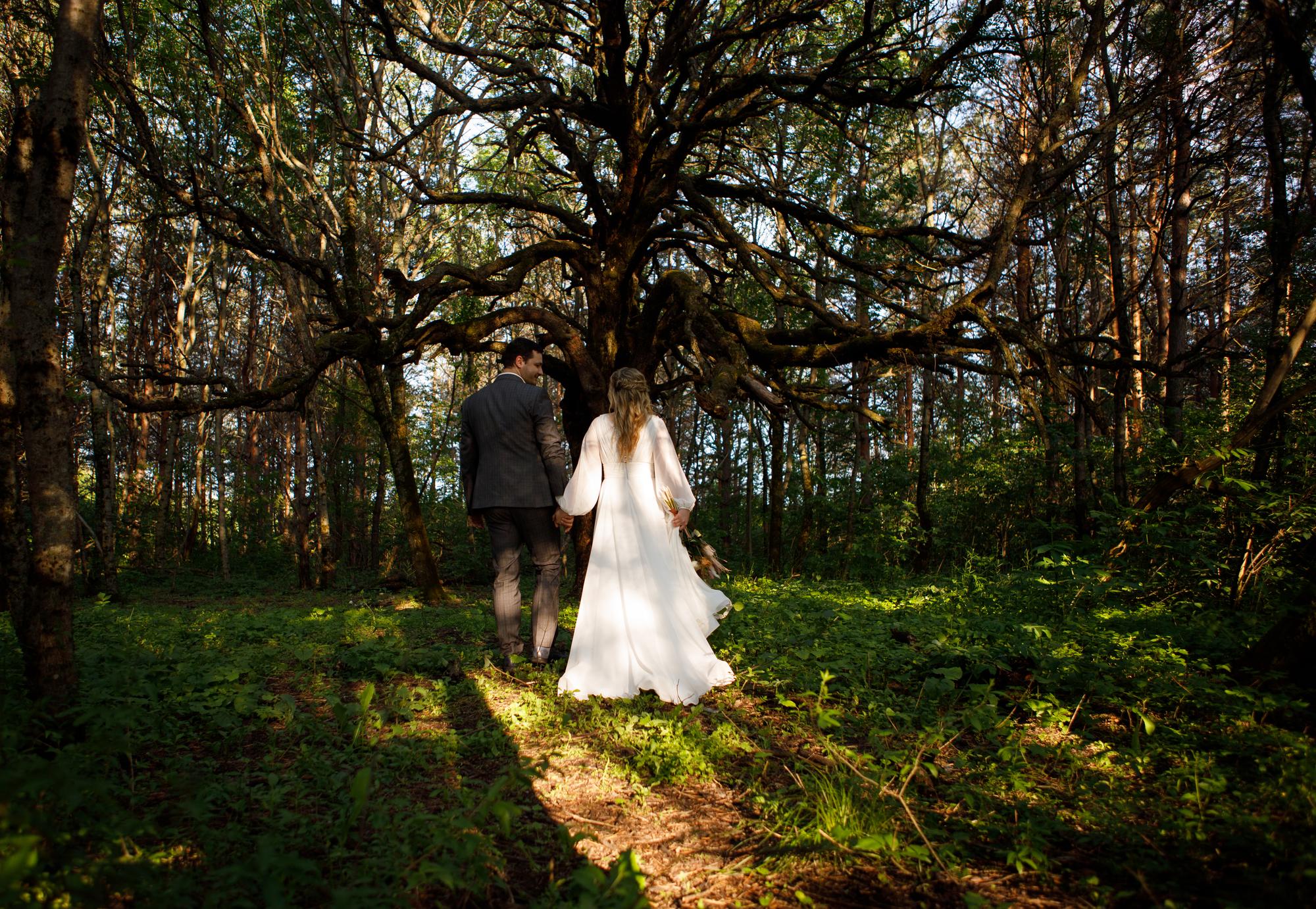 Ceremonia de boda en el bosque